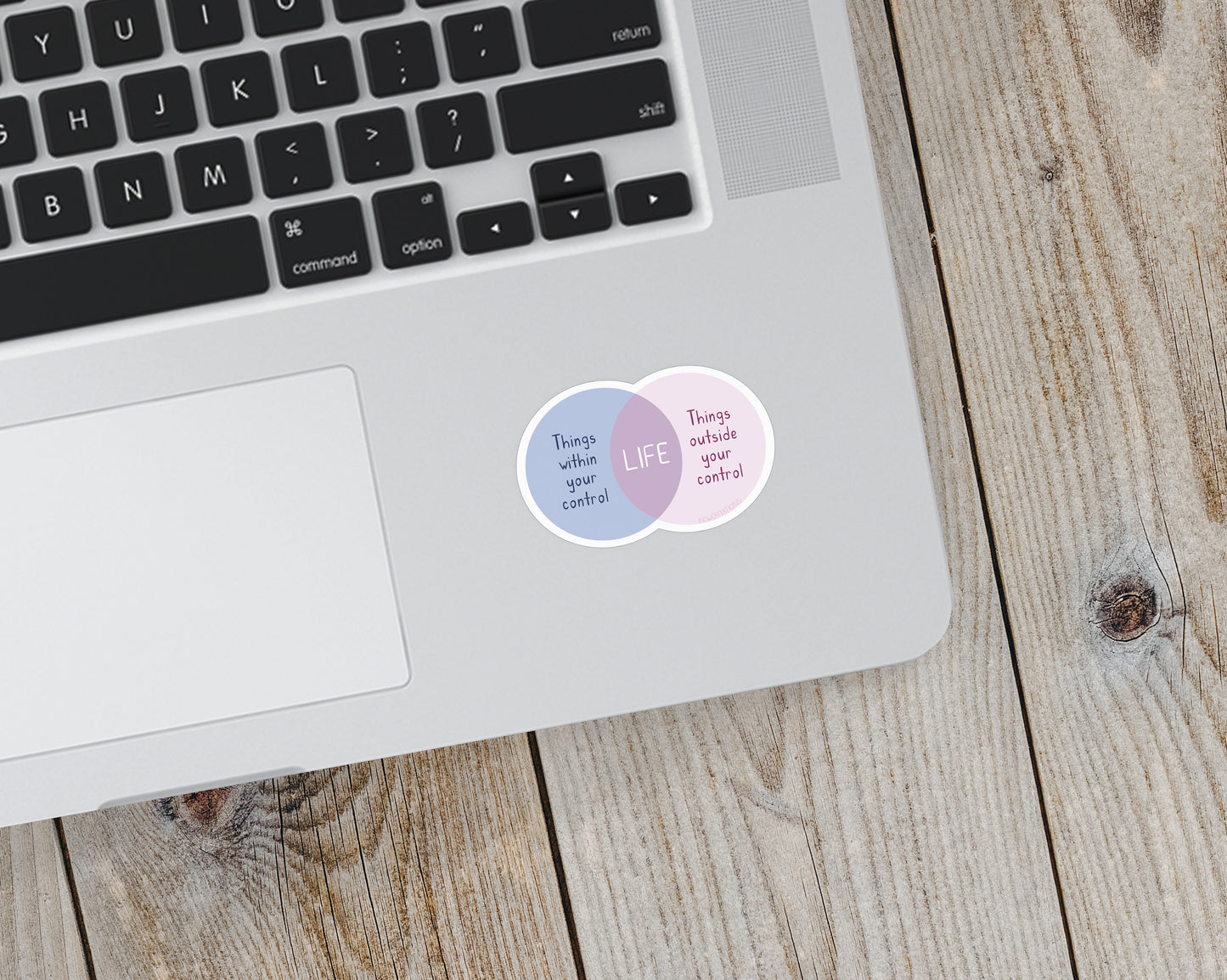 Life Venn Diagram Vinyl Sticker - additional product photo 3